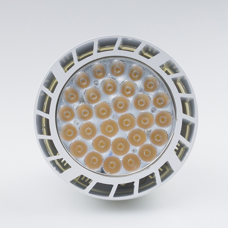 满天星PAR30 光源